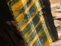 Natural Golden Blue Tigers Eye Specimen x 1 From Prieska, South Africa - TopRock