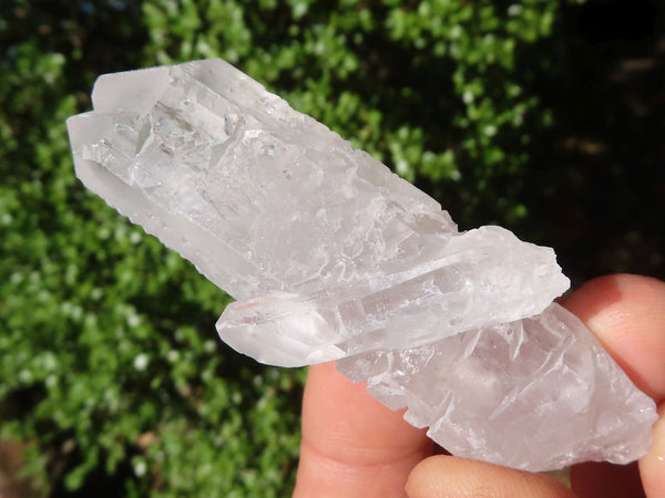 Natural Clear Single Quartz Crystals  x 37 From Mpika, Zambia - Toprock Gemstones and Minerals 