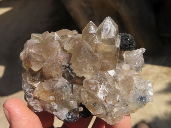 Natural Schorl Black Tourmaline Specimens x 6 From Erongo, Namibia