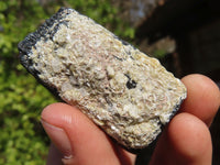 Natural Schorl Black Tourmaline Specimens x 6 From Erongo, Namibia