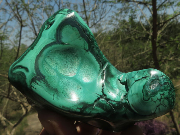 Polished Malachite Free Forms With Stunning Flower & Banding Patterns x 6 From Kolwezi, Congo - TopRock