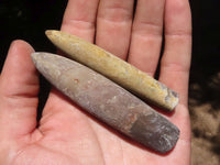 Natural Large Selected Belemnite Fossil "Bullets" x 36 From Maintirano, Madagascar - TopRock