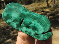 Polished Malachite Free Forms With Stunning Flower & Banding Patterns x 6 From Kolwezi, Congo - TopRock