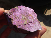 Natural Metallic Purpurite Cobbed Specimens x 12 From Erongo, Namibia