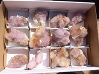 Natural Mixed Spirit Amethyst Quartz Clusters  x 12 From Boekenhouthoek, South Africa - Toprock Gemstones and Minerals 