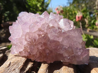 Natural Mixed Spirit Amethyst Quartz Clusters  x 12 From Boekenhouthoek, South Africa - Toprock Gemstones and Minerals 