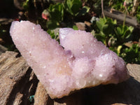 Natural Mixed Spirit Amethyst Quartz Clusters  x 12 From Boekenhouthoek, South Africa - Toprock Gemstones and Minerals 