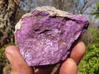 Natural Metallic Purpurite Cobbed Specimens x 12 From Erongo, Namibia