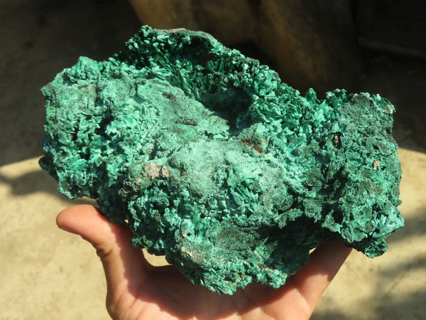 Natural Chatoyant Silky Malachite Specimens  x 2 From Kasompe, Congo