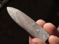 Natural Large Selected Belemnite Fossil "Bullets" x 36 From Maintirano, Madagascar - TopRock