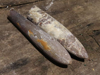 Natural Large Selected Belemnite Fossil "Bullets" x 36 From Maintirano, Madagascar - TopRock