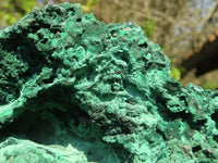 Natural Chatoyant Silky Malachite Specimens  x 2 From Kasompe, Congo