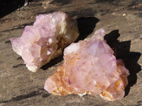 Natural Mixed Spirit Amethyst Quartz Clusters  x 12 From Boekenhouthoek, South Africa - Toprock Gemstones and Minerals 