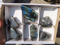 Polished Labradorite Standing Free Forms  x 6 From Tulear, Madagascar