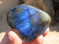 Polished Labradorite Standing Free Forms  x 6 From Tulear, Madagascar