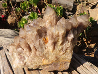 Natural Cascading Smokey Quartz Cluster  x 1 From Luena, Congo