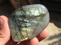 Polished Labradorite Standing Free Forms  x 6 From Tulear, Madagascar