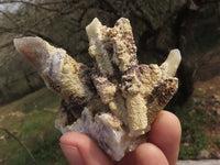 Natural Drusy Limonite Coated Fairy Spirit Quartz Clusters  x 24 From Boekenhouthoek, South Africa - TopRock