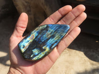 Polished Labradorite Standing Free Forms  x 6 From Tulear, Madagascar