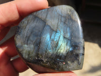 Polished Labradorite Standing Free Forms  x 6 From Tulear, Madagascar