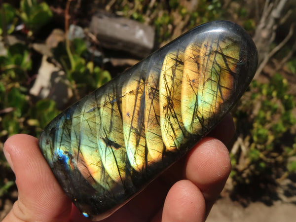 Polished Labradorite Standing Free Forms  x 6 From Tulear, Madagascar