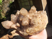 Natural Cascading Smokey Quartz Cluster  x 1 From Luena, Congo