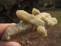 Natural Drusy Limonite Coated Fairy Spirit Quartz Clusters  x 24 From Boekenhouthoek, South Africa - TopRock