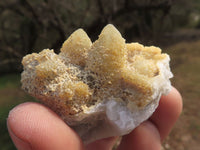 Natural Drusy Limonite Coated Fairy Spirit Quartz Clusters  x 24 From Boekenhouthoek, South Africa - TopRock