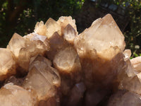 Natural Cascading Smokey Quartz Cluster  x 1 From Luena, Congo