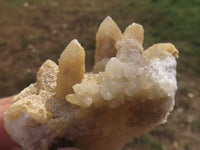 Natural Drusy Limonite Coated Fairy Spirit Quartz Clusters  x 24 From Boekenhouthoek, South Africa - TopRock