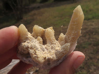 Natural Drusy Limonite Coated Fairy Spirit Quartz Clusters  x 24 From Boekenhouthoek, South Africa - TopRock