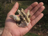 Natural Drusy Limonite Coated Fairy Spirit Quartz Clusters  x 24 From Boekenhouthoek, South Africa - TopRock