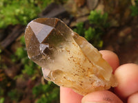 Natural Single Clear Smokey Quartz Crystals  x 36 From Zimbabwe - TopRock