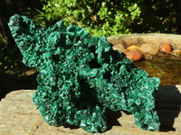 Natural Chatoyant Silky Malachite Specimens  x 2 From Congo - Toprock Gemstones and Minerals 