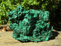 Natural Chatoyant Silky Malachite Specimens  x 2 From Congo - Toprock Gemstones and Minerals 