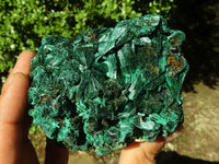 Natural Chatoyant Silky Malachite Specimens  x 2 From Congo - Toprock Gemstones and Minerals 