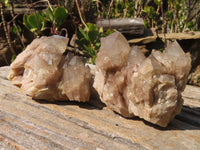 Natural Smokey Quartz Clusters x 6 From Luena, Congo