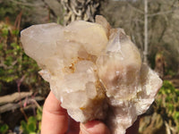 Natural Smokey Quartz Clusters x 6 From Luena, Congo