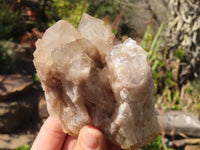 Natural Smokey Quartz Clusters x 6 From Luena, Congo