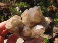 Natural Smokey Quartz Clusters x 6 From Luena, Congo