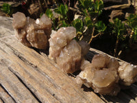 Natural Smokey Quartz Clusters x 6 From Luena, Congo