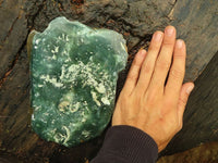 Polished Large Green Mtorolite / Emerald Chrysoprase Plate x 1 From Zimbabwe - TopRock