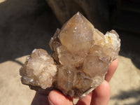 Natural Smokey Quartz Clusters x 6 From Luena, Congo