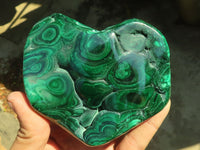 Polished Malachite Free Forms x 3 From Kolwezi, Congo