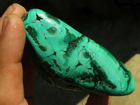 Polished Malachite Free Forms x 3 From Kolwezi, Congo