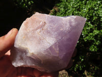 Natural Large Jacaranda Amethyst Crystals  x 6 From Mumbwa, Zambia - Toprock Gemstones and Minerals 