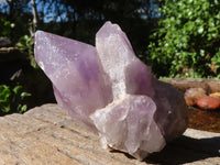 Natural Large Jacaranda Amethyst Crystals  x 6 From Mumbwa, Zambia - Toprock Gemstones and Minerals 