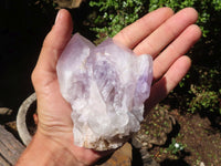 Natural Large Jacaranda Amethyst Crystals  x 6 From Mumbwa, Zambia - Toprock Gemstones and Minerals 