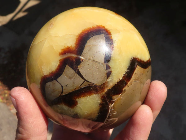 Polished Septaria (Calcite & Aragonite) Spheres  x 2 From Mahajanga, Madagascar