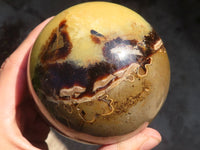 Polished Septaria Spheres x 2 From Mahajanga, Madagascar